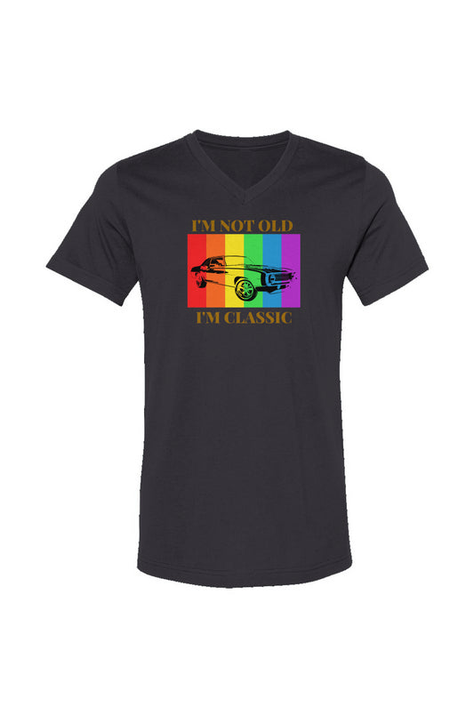 Unisex V-Neck Tee